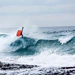 Tamarama Bodyboard Club logo