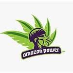 Amazon Power logo