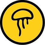 MEDUXA Bodyboard Company logo